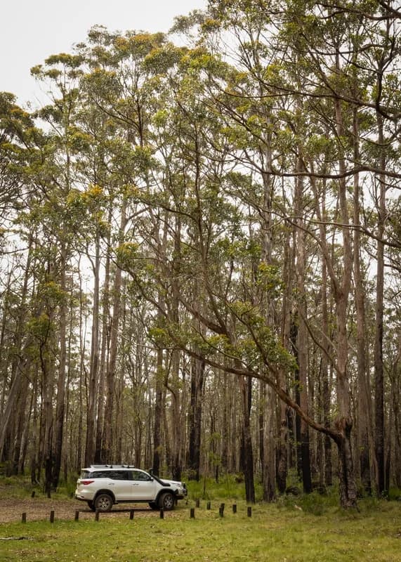 Forested ridge and cliffs in Nattai National Park